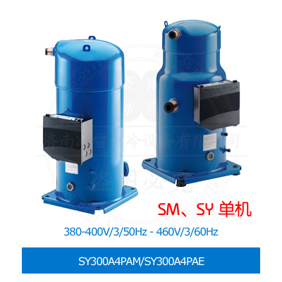 SY300A4PAM/SY300A4PAE